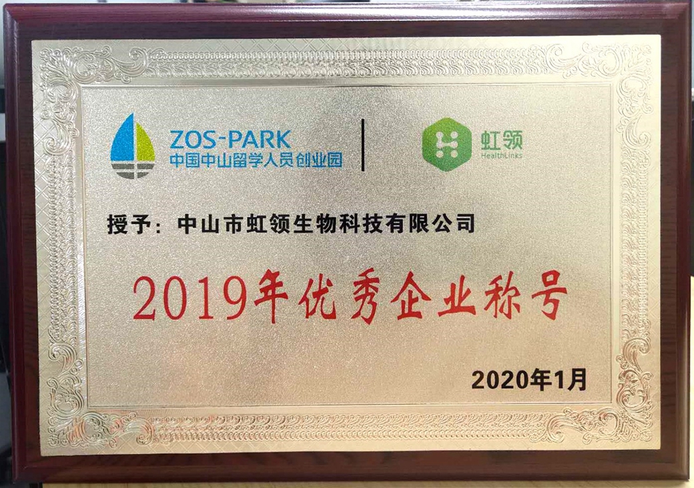 2019年优秀企业称号